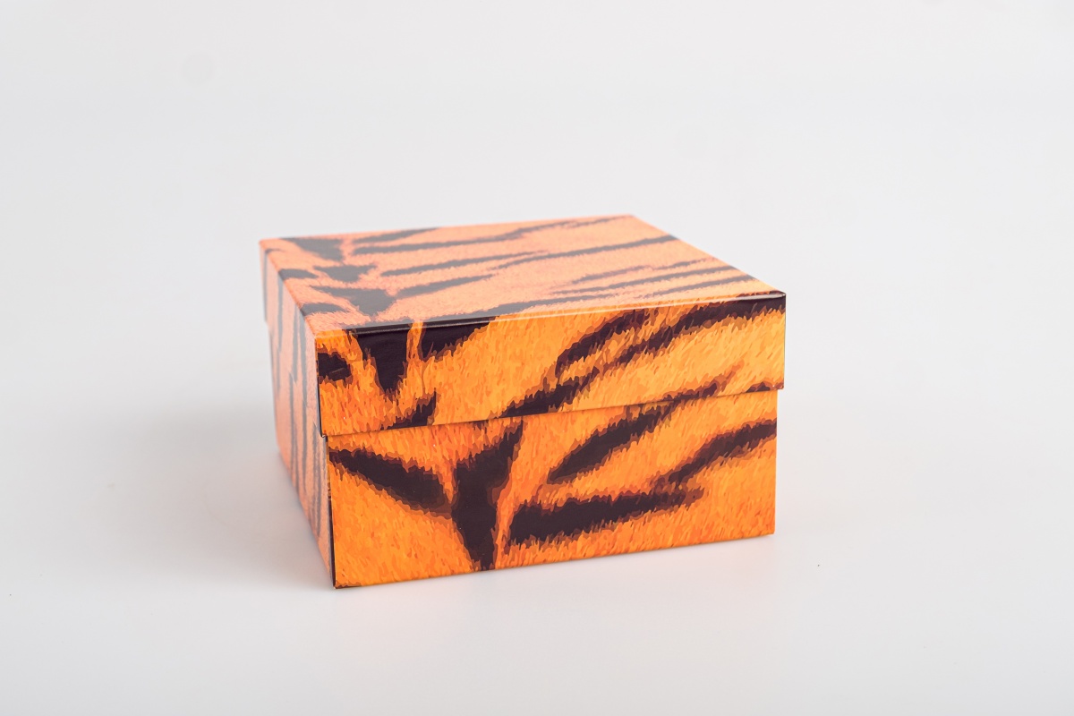 Подарочная коробка крышка-дно, 19 x 19 x 10,5 см. "Animals", тигр, оранжевый, белый