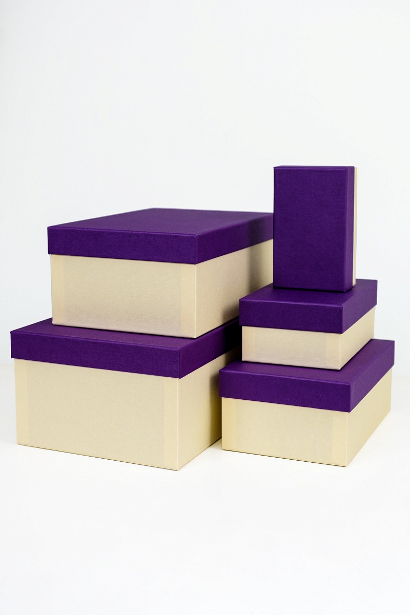 Набор прямоугольных подарочных коробок 5 в 1, 14.4 x 8.9 x 5.5 - 31.4 x 20.9 x 13.5 см. "Радуга", фиолетовый, бежевый