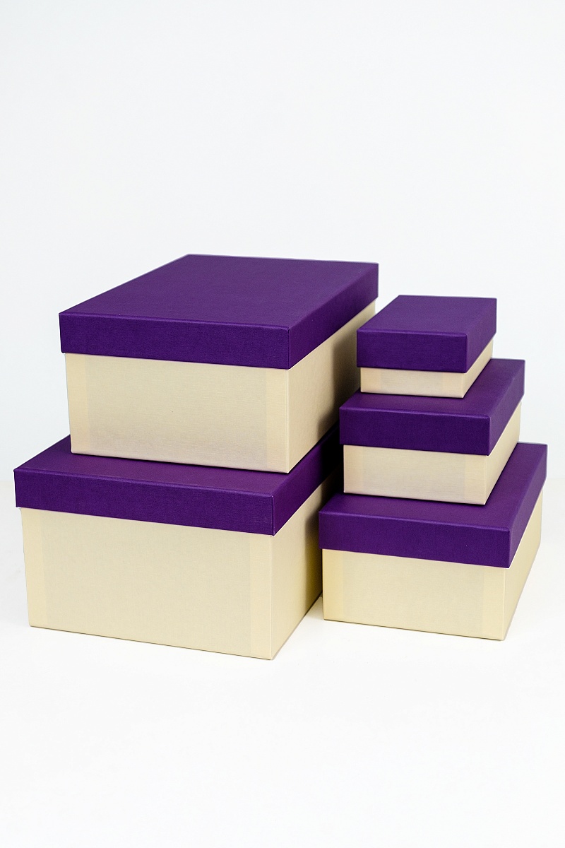 Набор прямоугольных подарочных коробок 5 в 1, 14.4 x 8.9 x 5.5 - 31.4 x 20.9 x 13.5 см. "Радуга", фиолетовый, бежевый