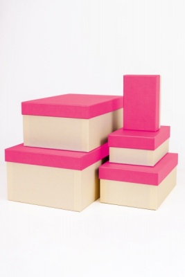 Набор прямоугольных подарочных коробок 5 в 1, 14.4 x 8.9 x 5.5 - 31.4 x 20.9 x 13.5 см. "Радуга", розовый, бежевый