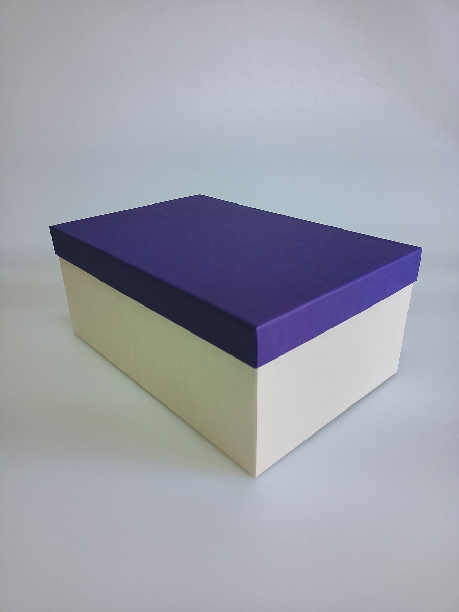 Набор прямоугольных подарочных коробок 3 в 1, 18.4 х 11.9 х 7.5 - 31.4 х 20.9 х 13.5 см. "Радуга", фиолетовый, бежевый